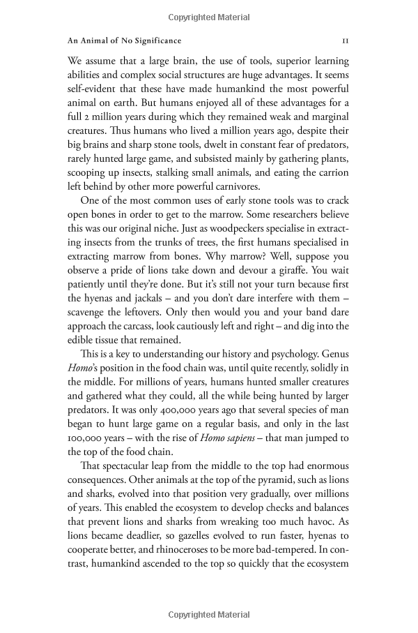 sapiens: a brief history of humankind: (patterns of life) - Ảnh 13