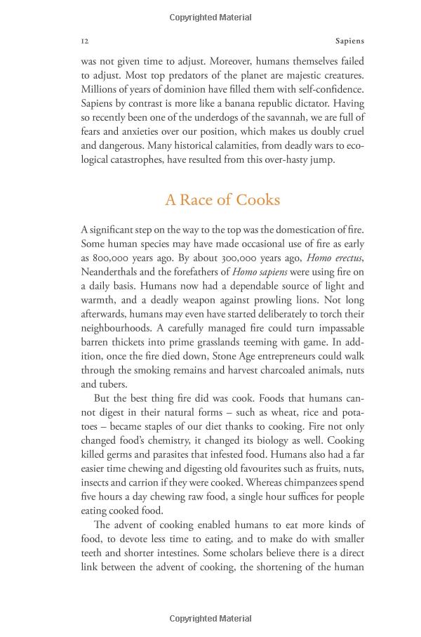 sapiens: a brief history of humankind: (patterns of life) - Ảnh 14