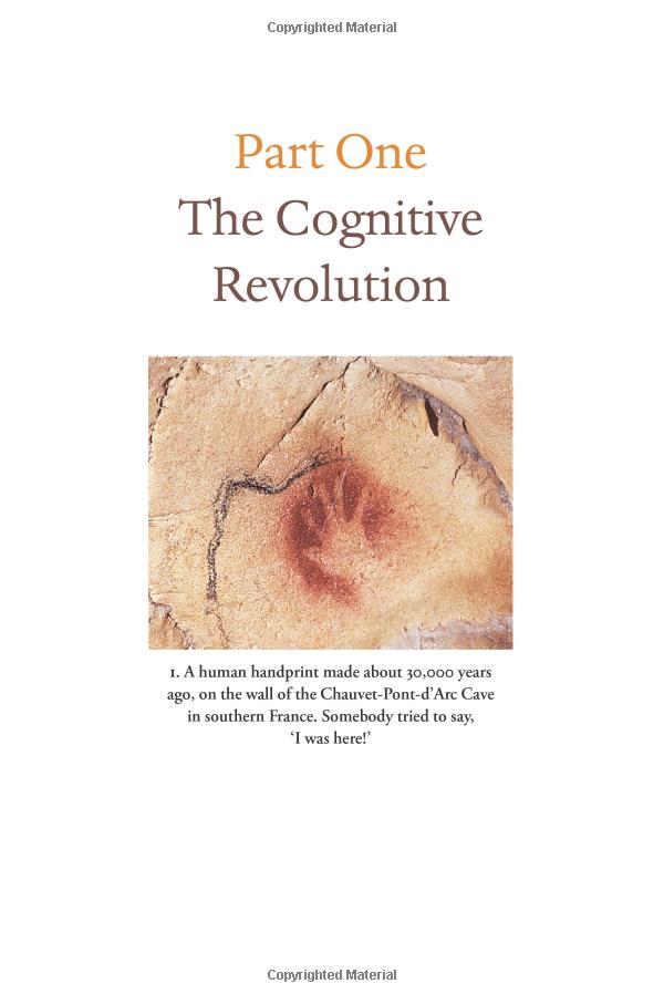 sapiens: a brief history of humankind: (patterns of life) - Ảnh 4