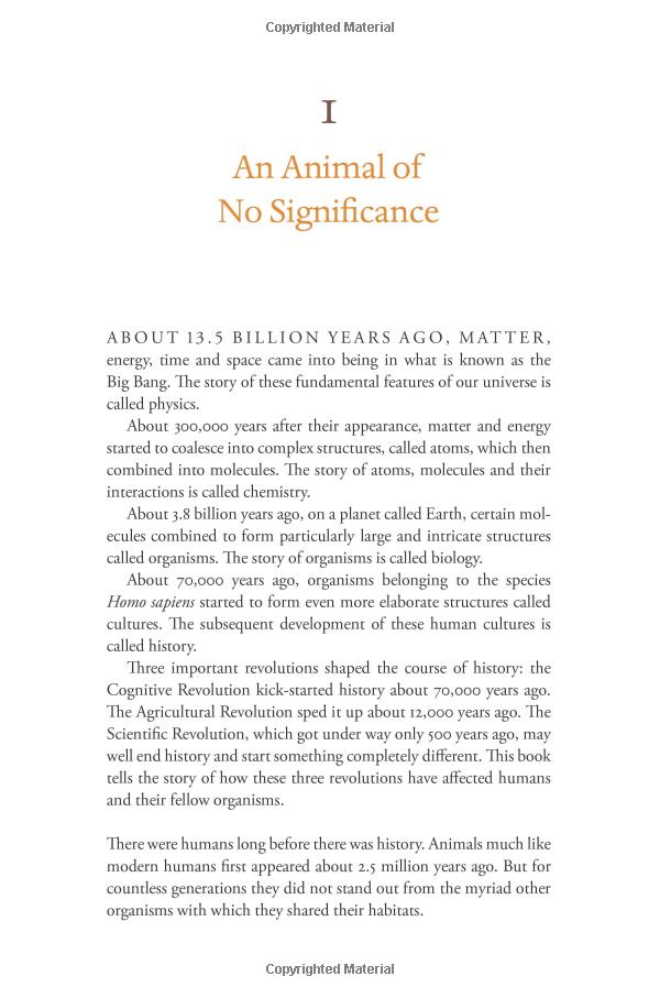 sapiens: a brief history of humankind: (patterns of life) - Ảnh 6