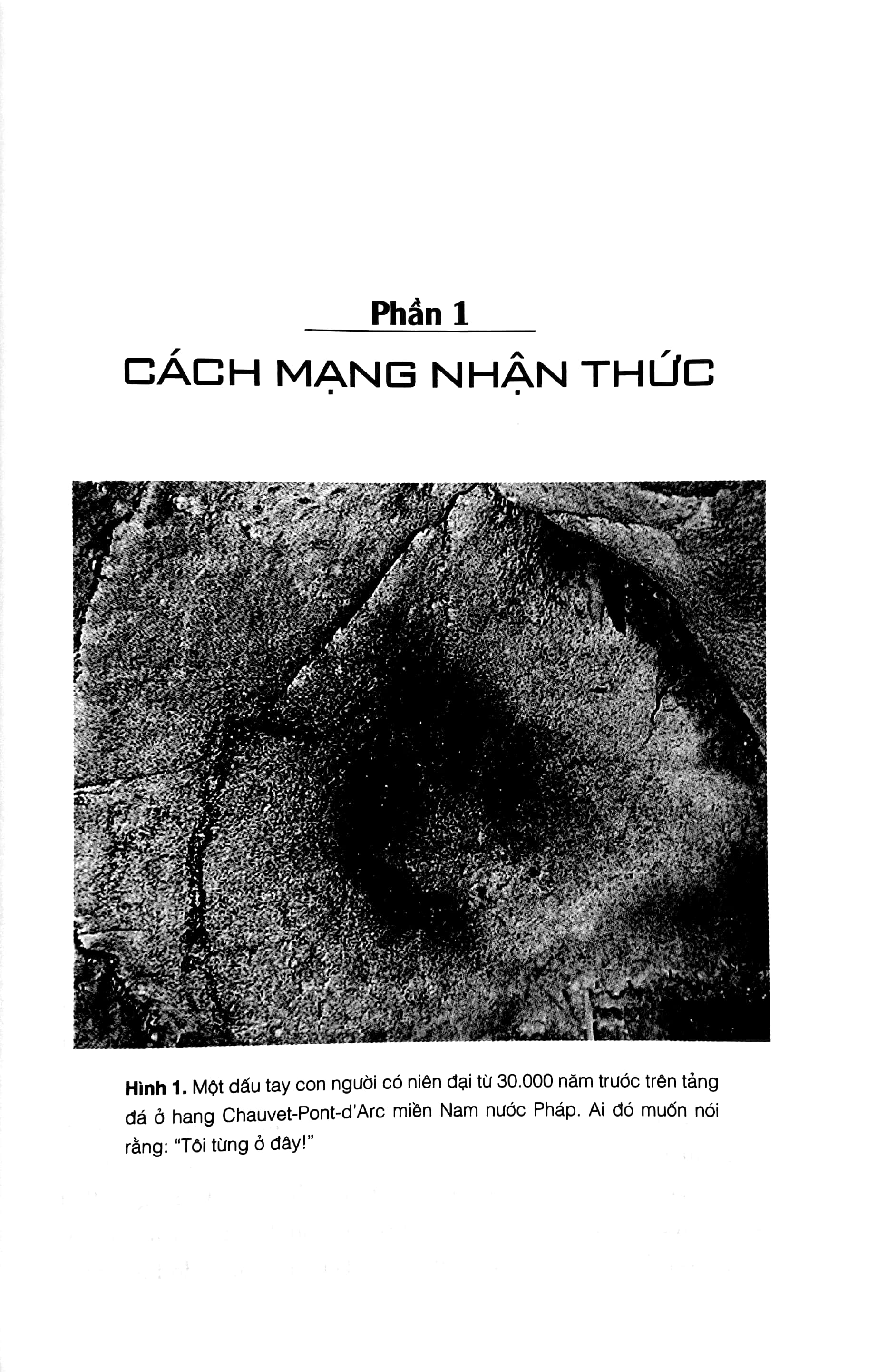 sapiens lược sử loài người - Ảnh 5