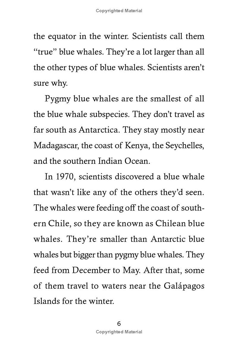 save the...blue whales - Ảnh 15