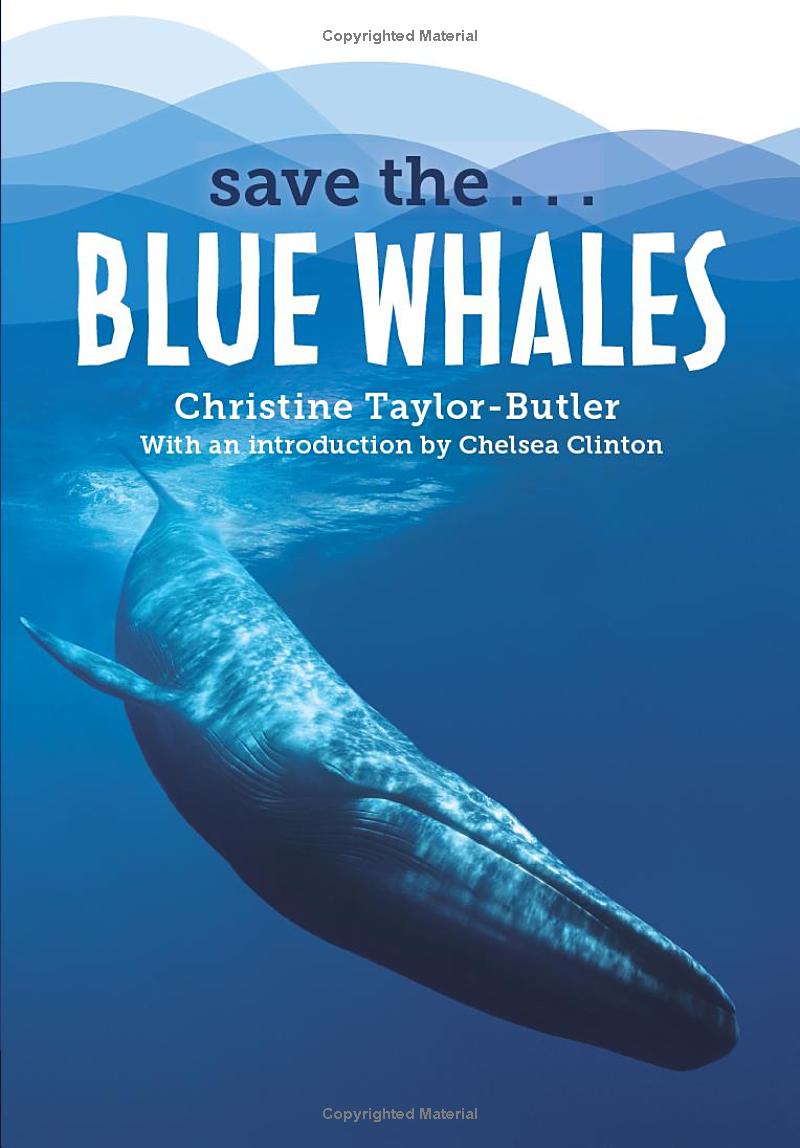 save the...blue whales - Ảnh 2