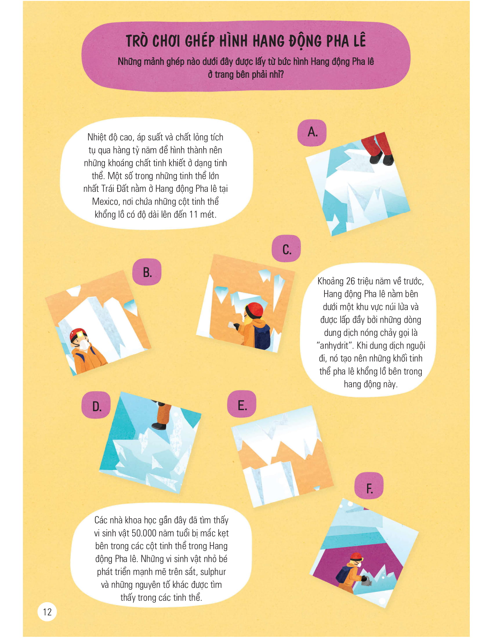 science challenges - cuốn sách khổng lồ về các hoạt động khám phá khoa học - Ảnh 11