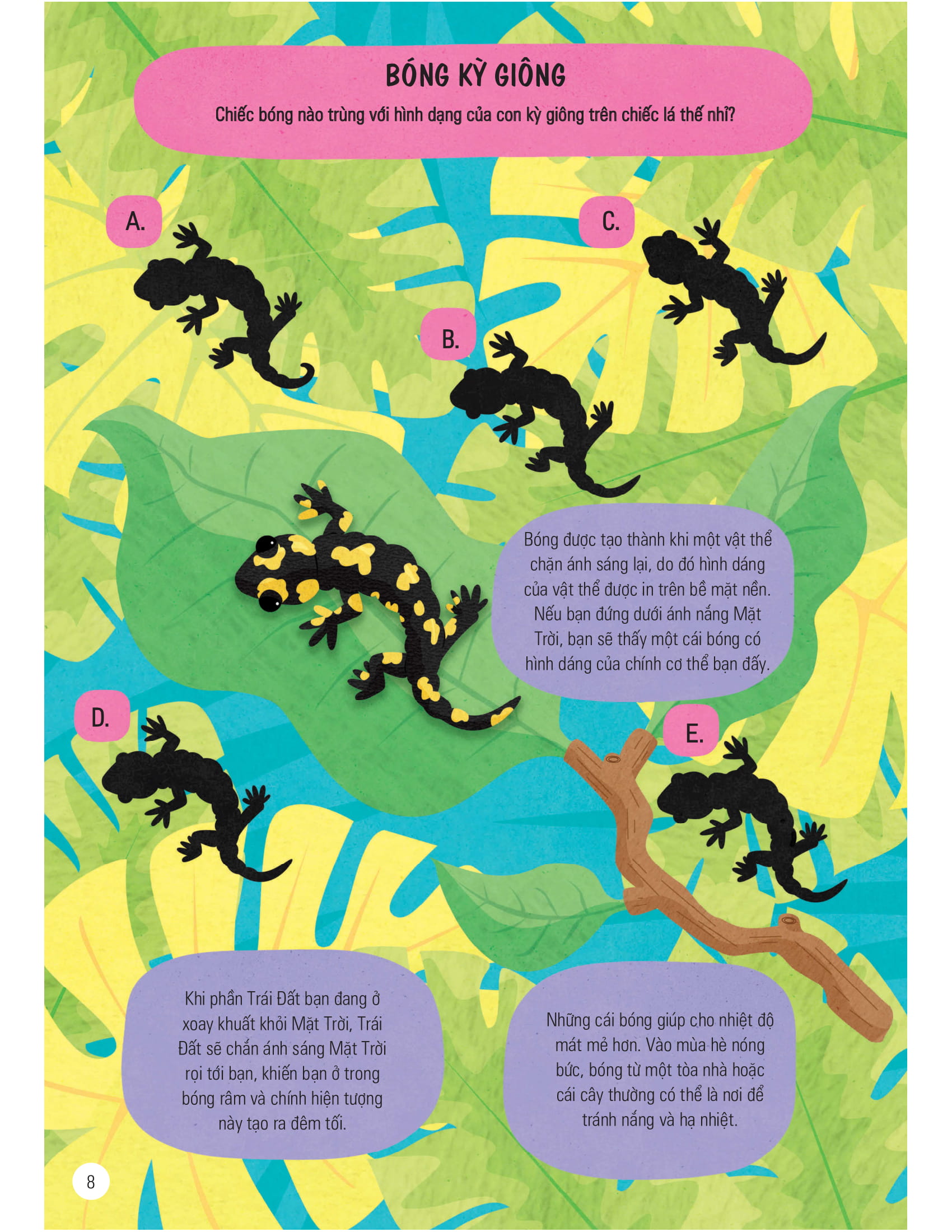 science challenges - cuốn sách khổng lồ về các hoạt động khám phá khoa học - Ảnh 7