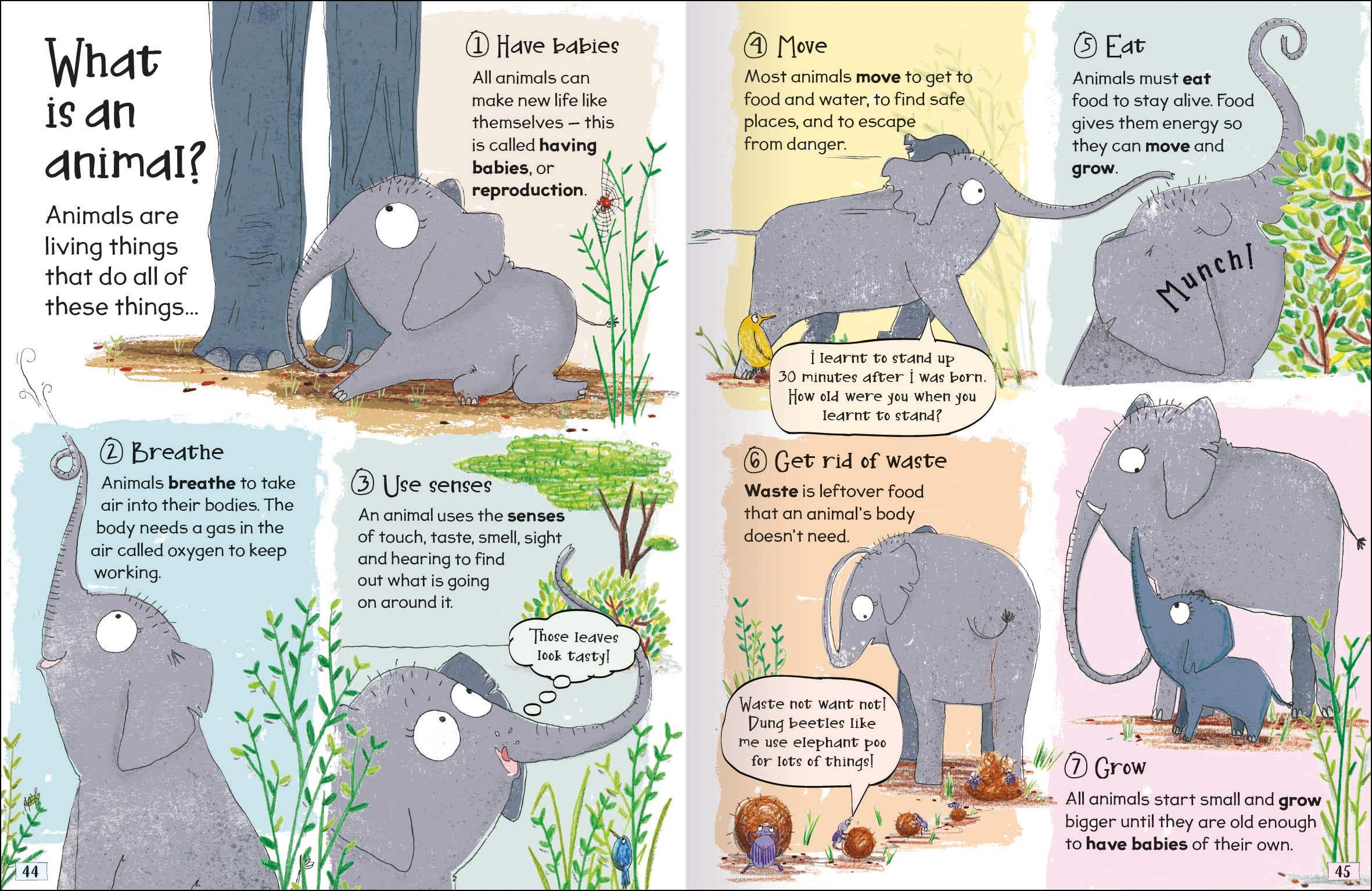 science curious questions and answers - Ảnh 4