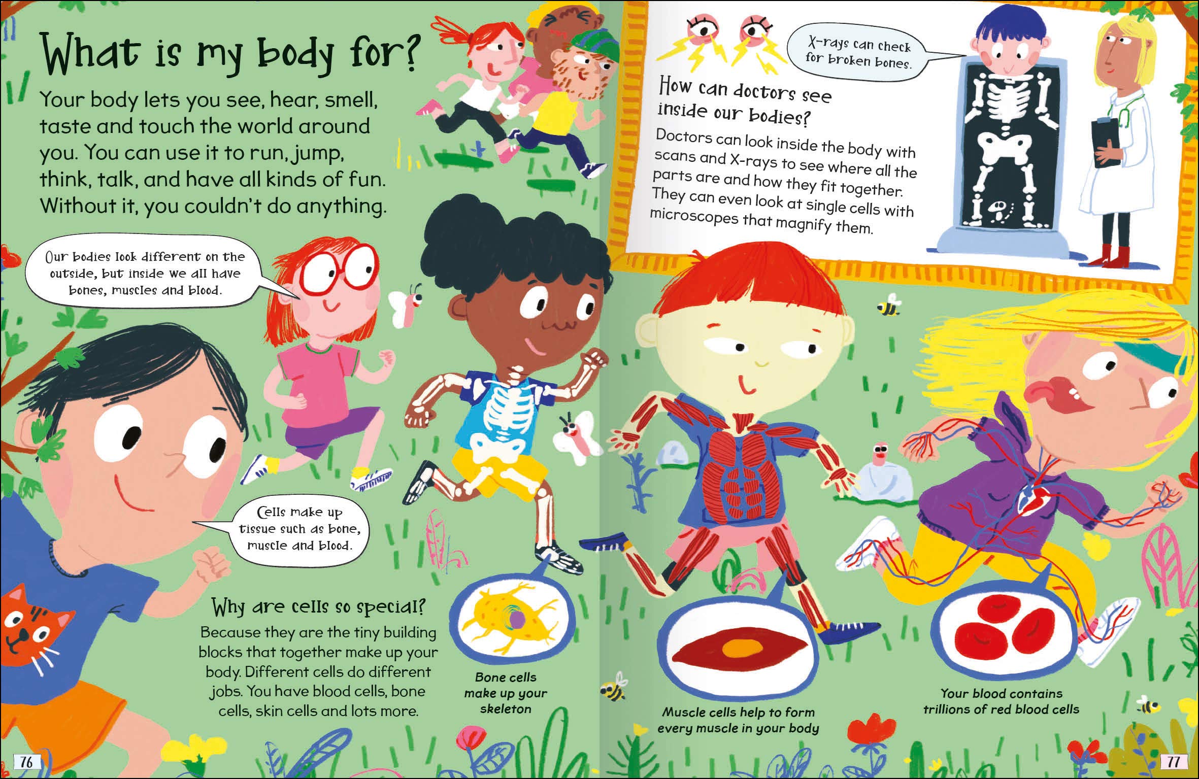 science curious questions and answers - Ảnh 5