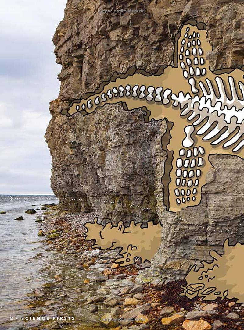 science factopia!: follow the trail of 400 stem-tastic facts! - Ảnh 11