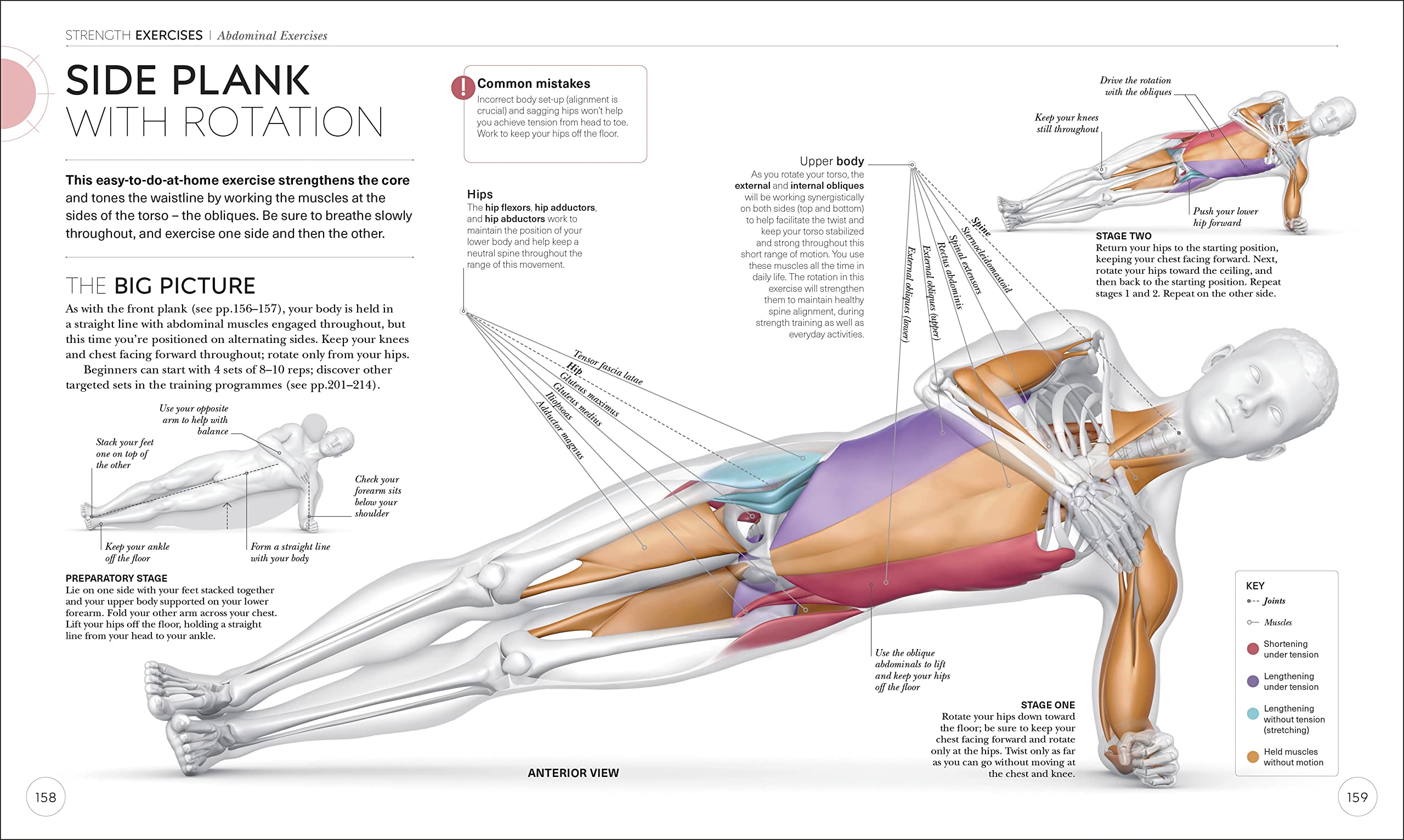 science of strength training: understand the anatomy and physiology to transform your body - Ảnh 7