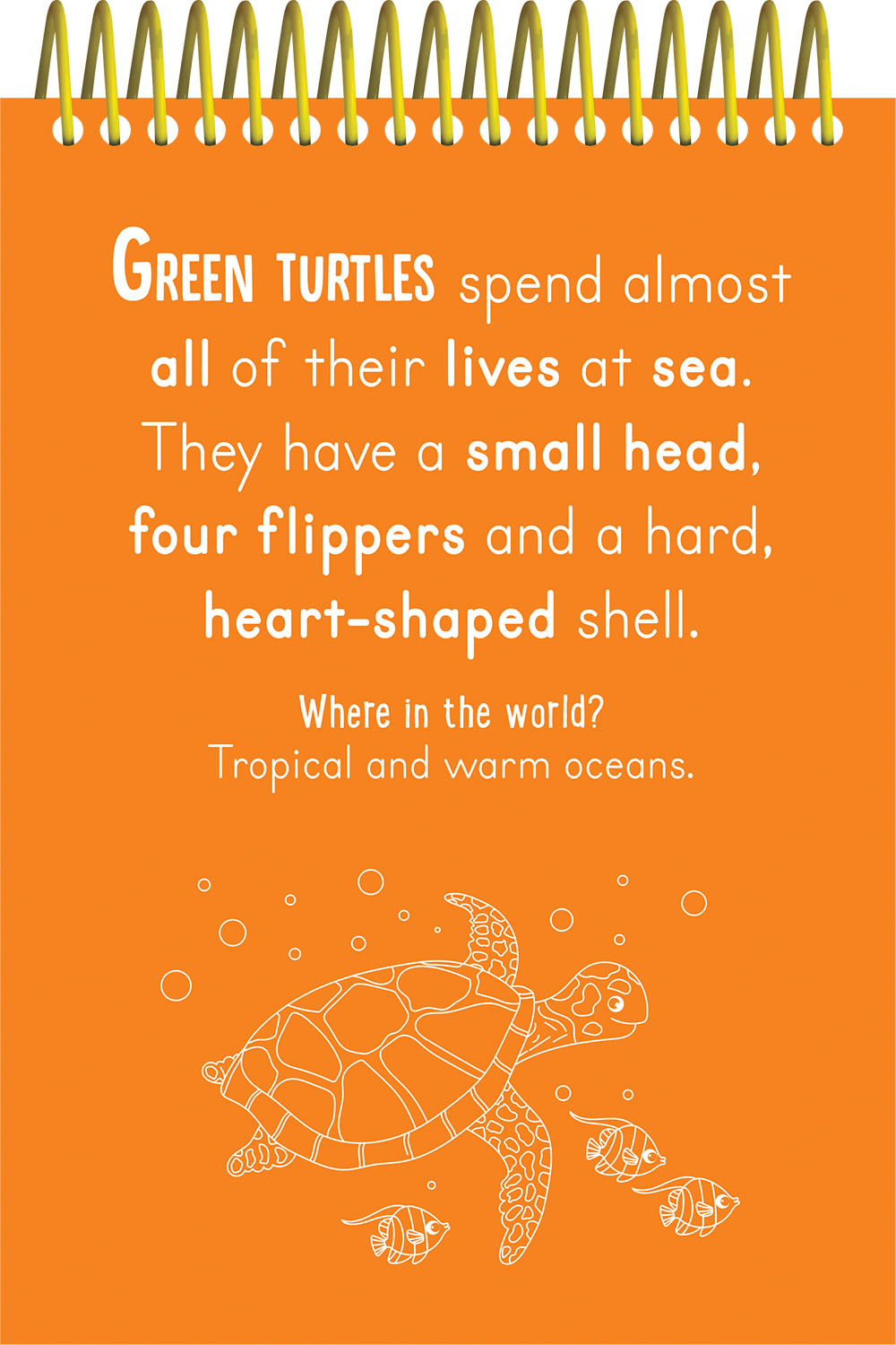 scratch & colour animals - Ảnh 3