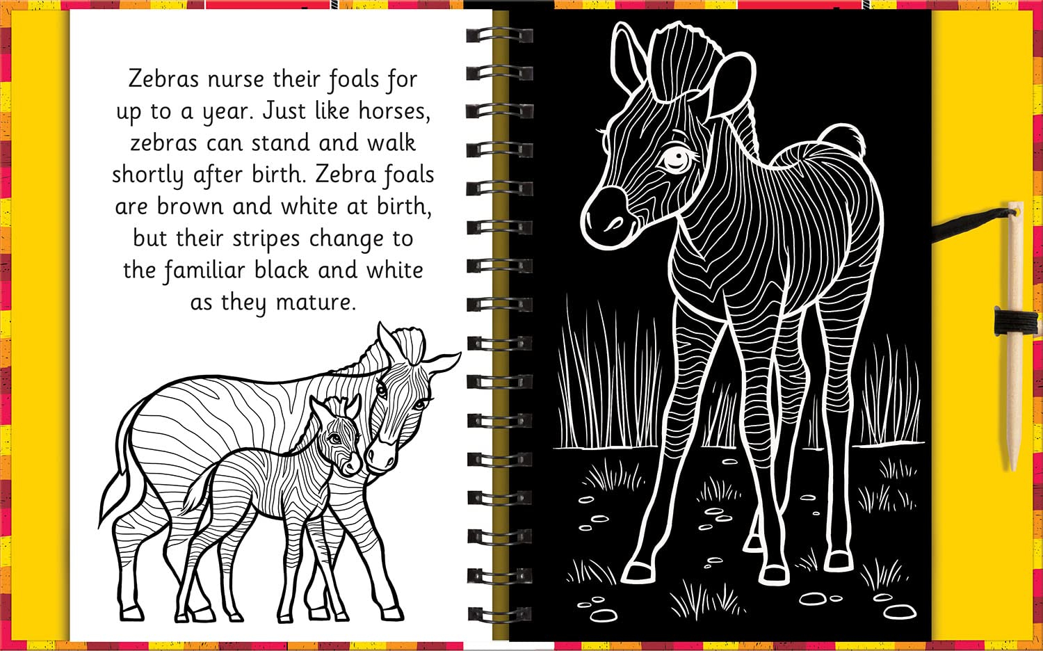 scratch & draw animals - scratch art activity book - Ảnh 5