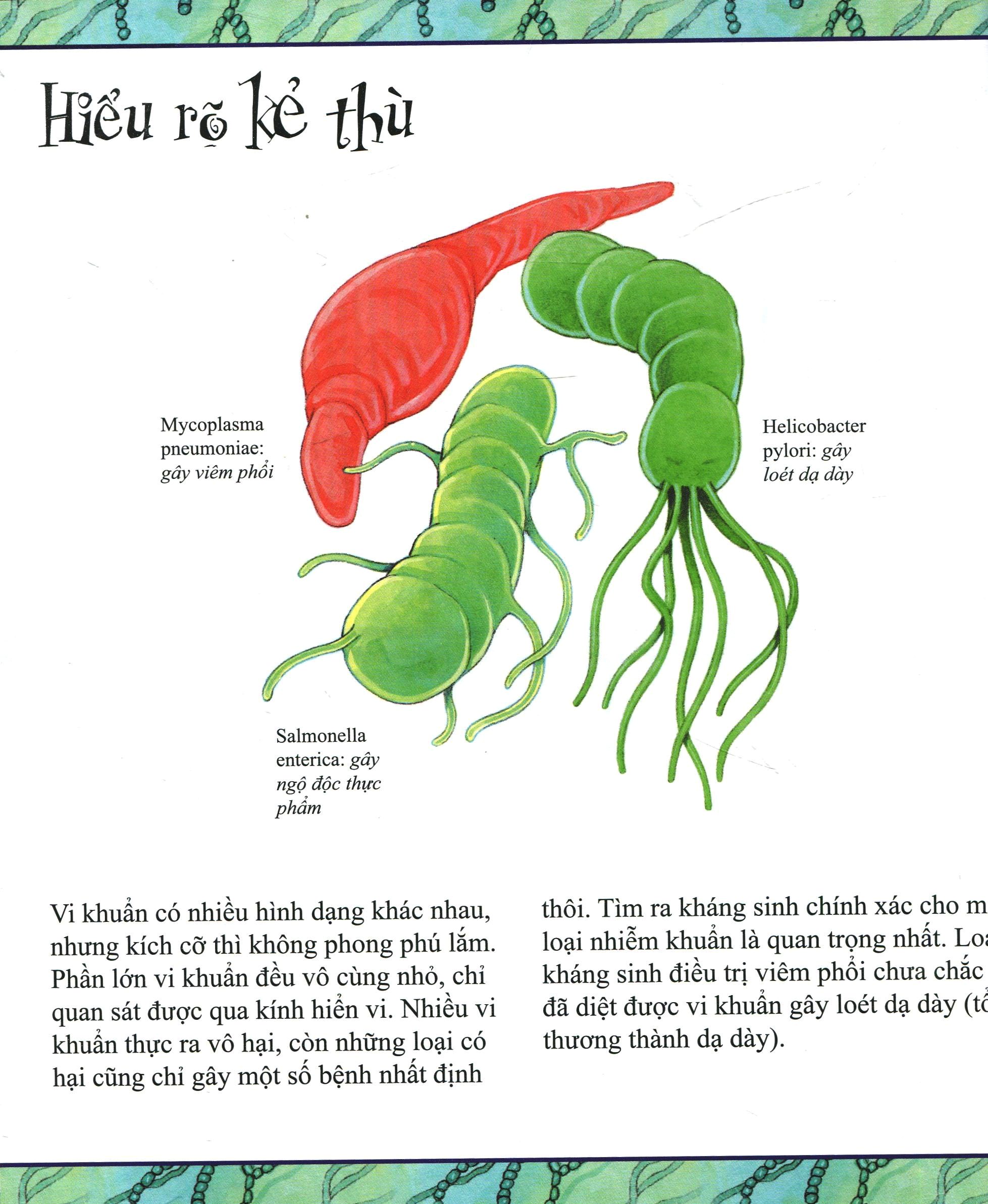 sẽ ra sao nếu thiếu thuốc kháng sinh (tái bản 2018) - Ảnh 5