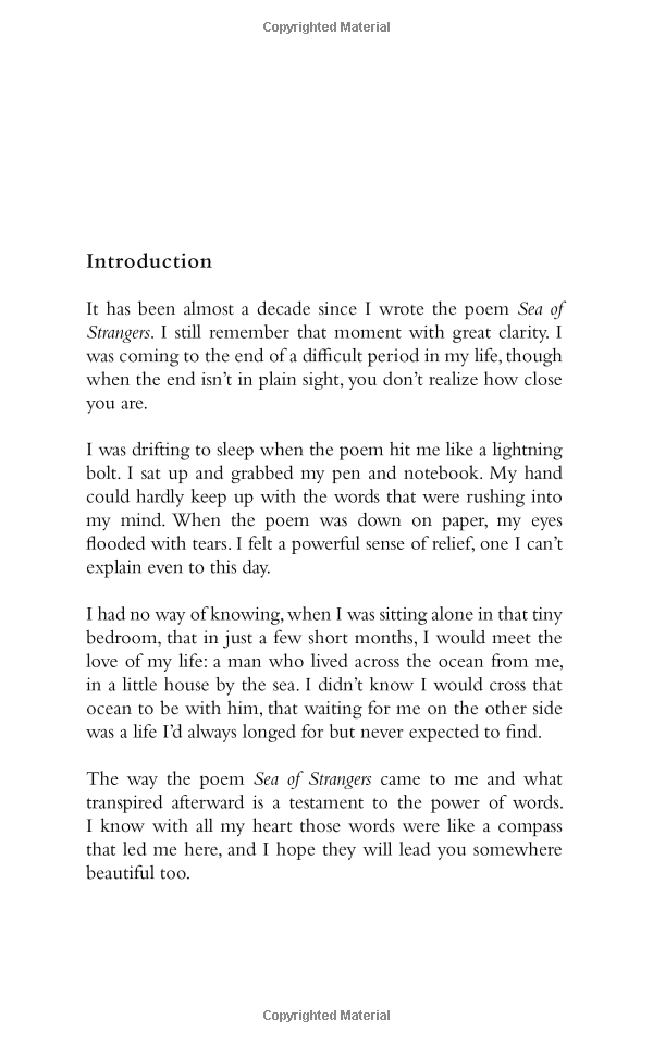 sea of strangers - Ảnh 2