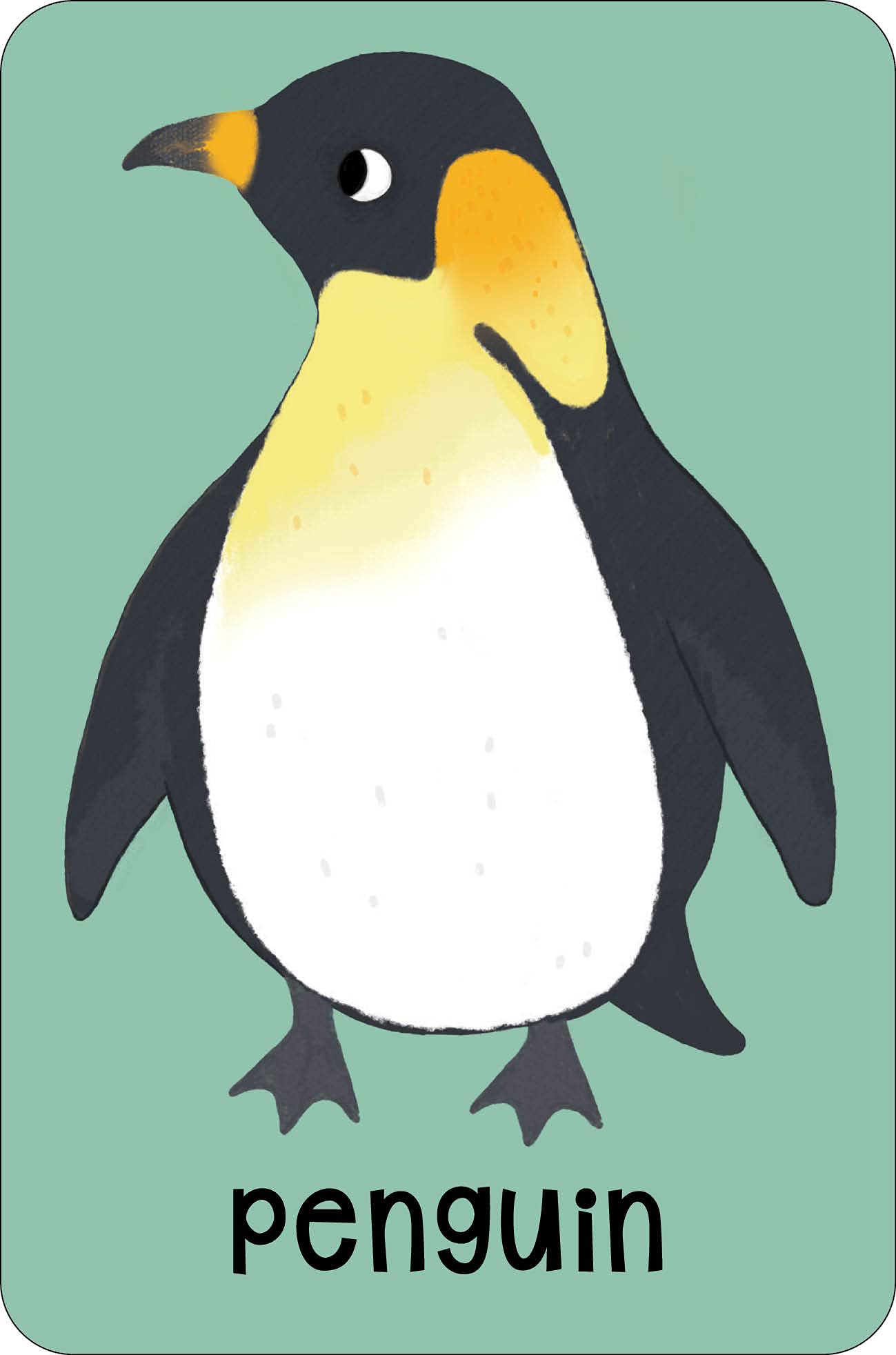 sea snap! - Ảnh 10