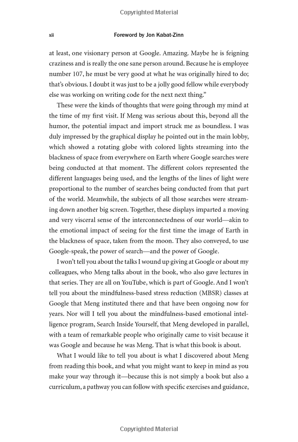 search inside yourself: the unexpected path to achieving success, happiness (and world peace) - Ảnh 10