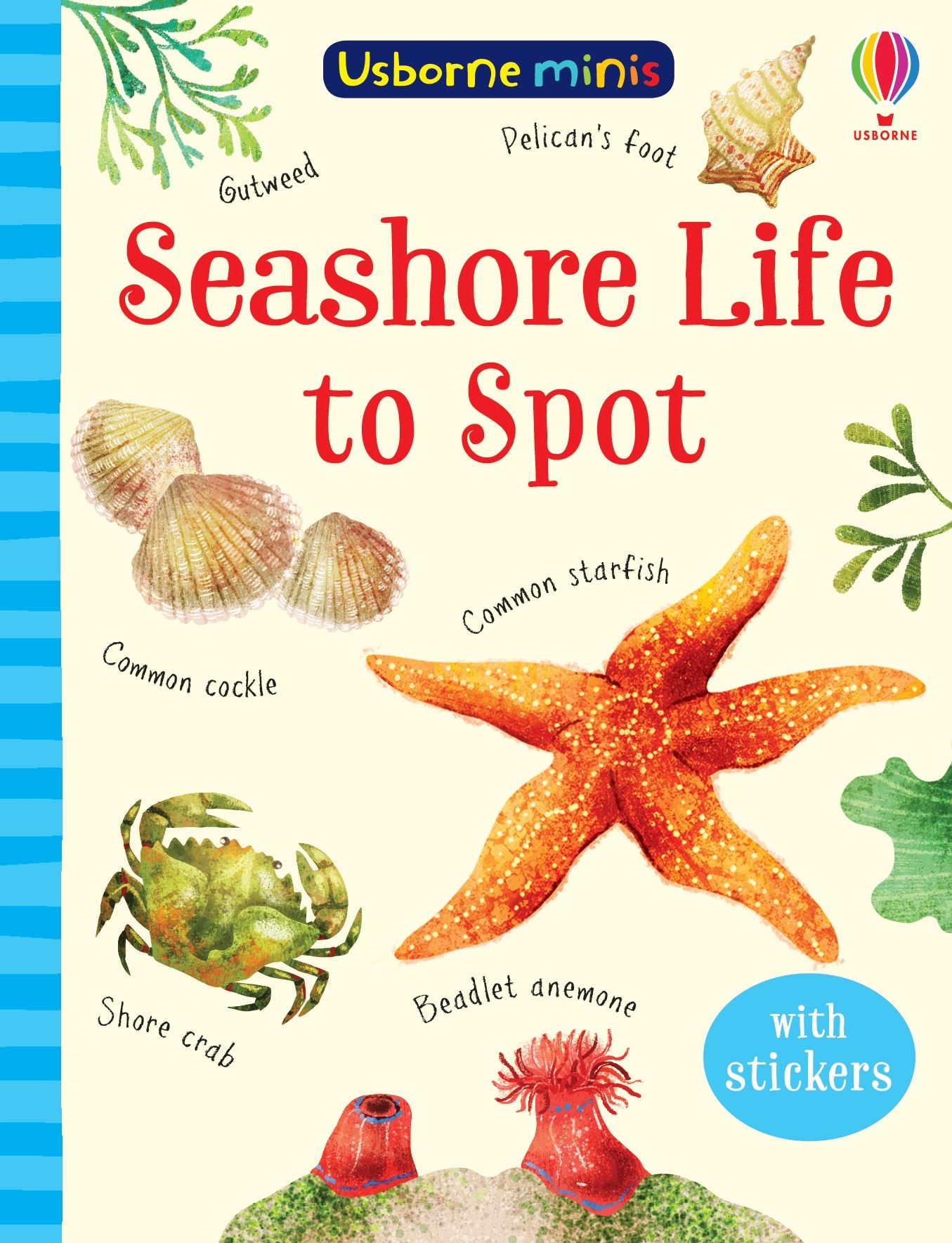 seashore life to spot - Ảnh 2