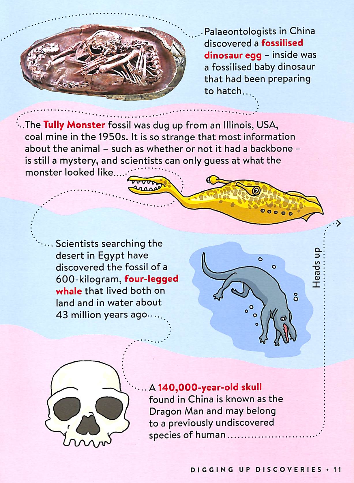 secret factopia! - Ảnh 9