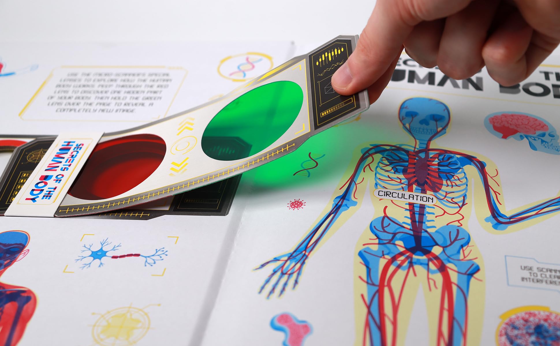 secrets of the human body - Ảnh 2