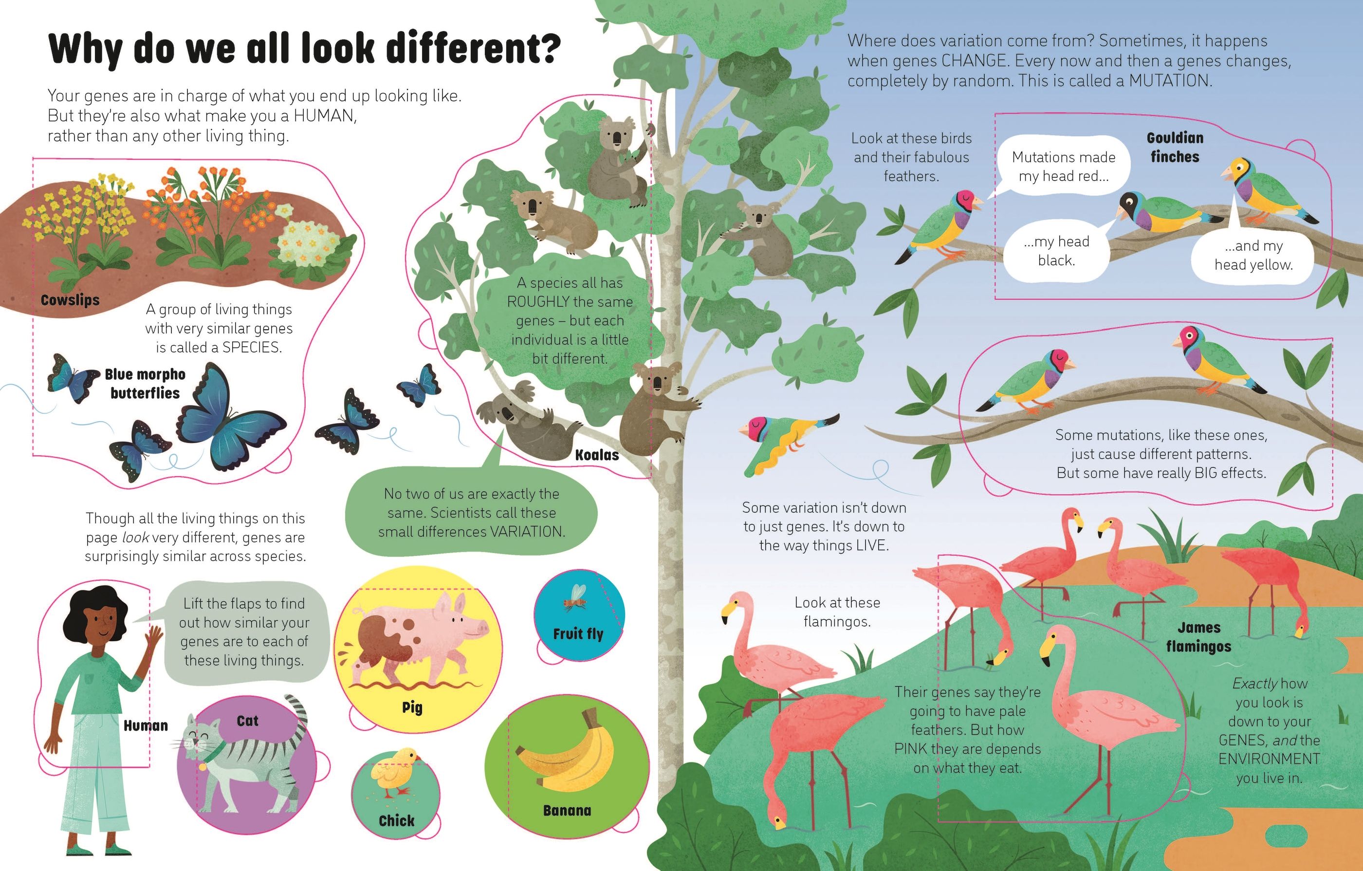 see inside genes and dna - Ảnh 3
