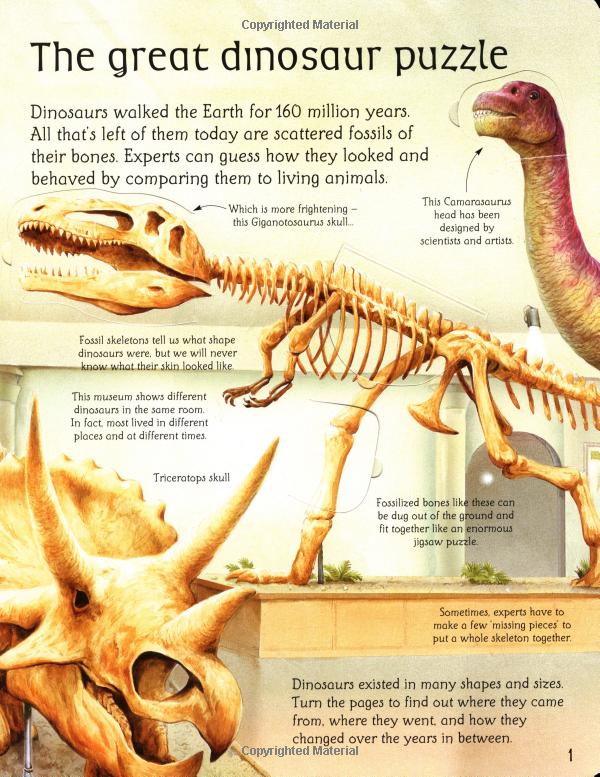 see inside the world of dinosaurs - Ảnh 4