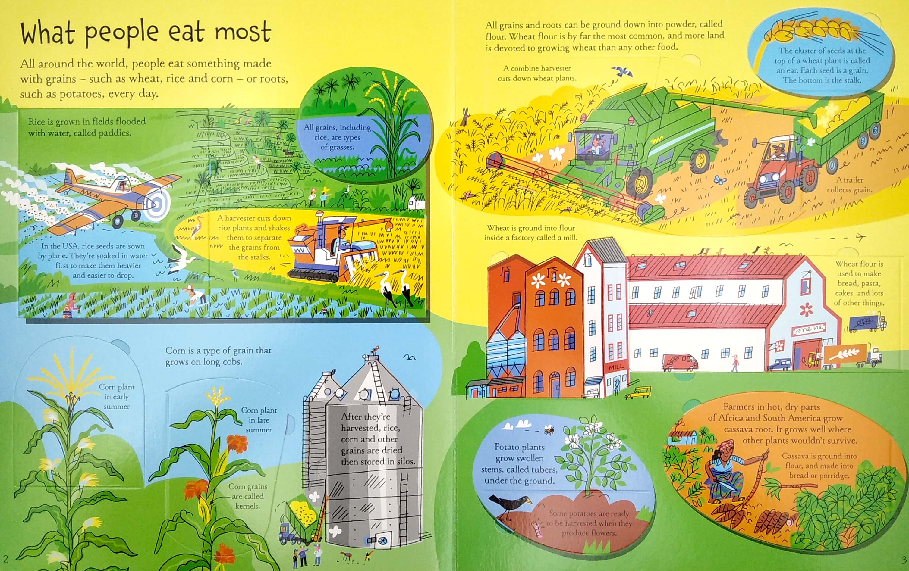 see inside where food comes from - Ảnh 4