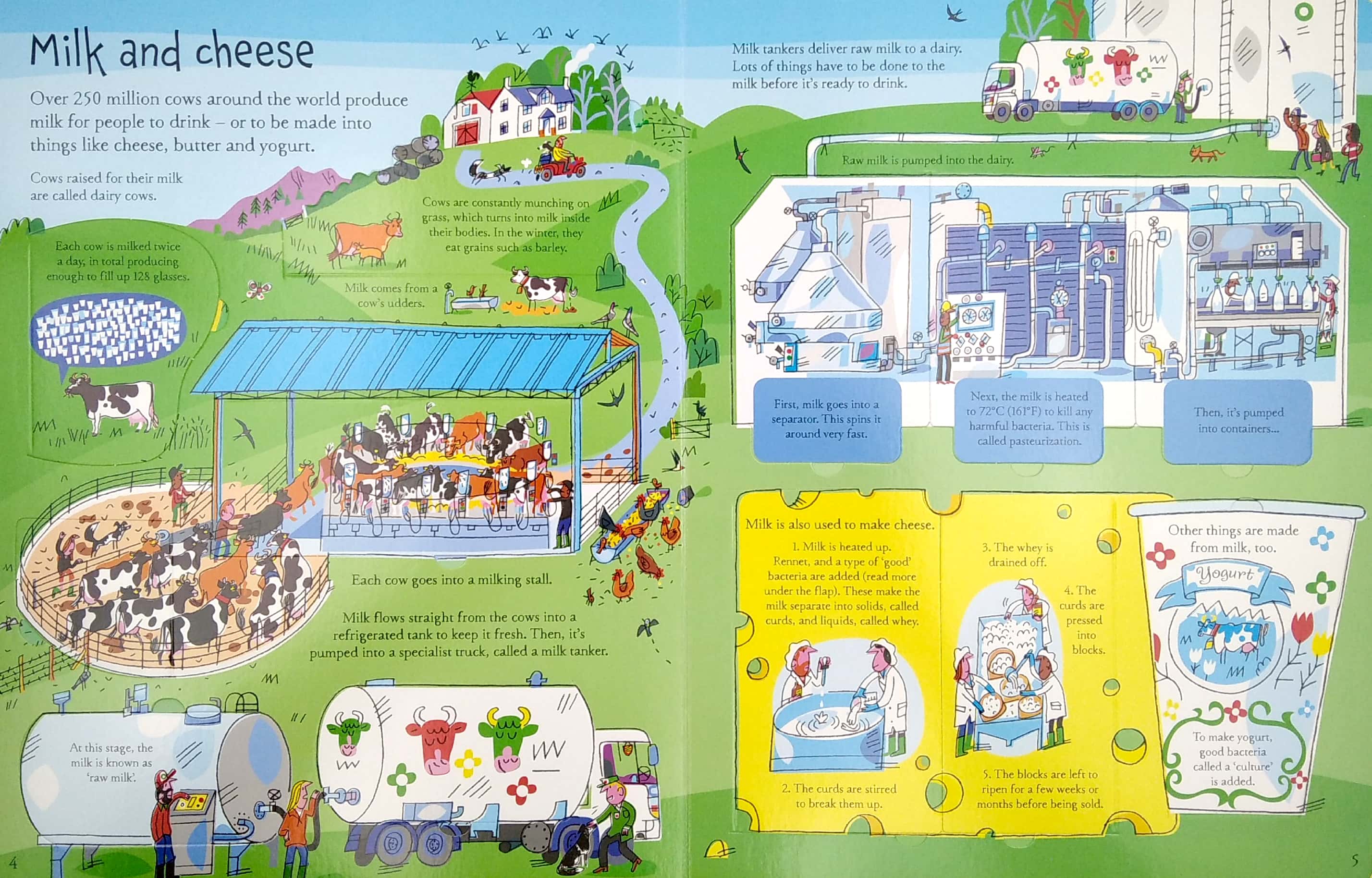 see inside where food comes from - Ảnh 5