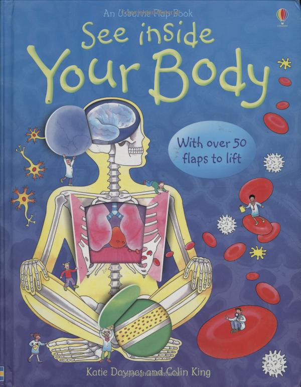 see inside your body - Ảnh 2
