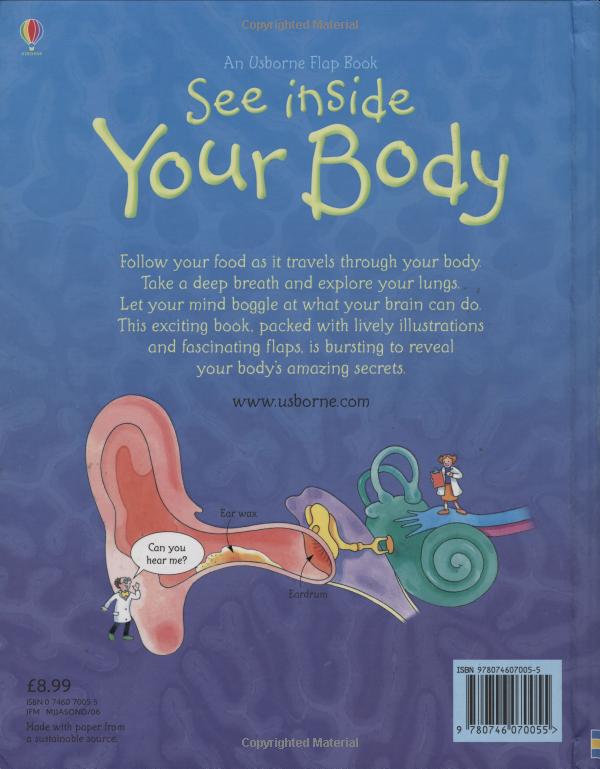 see inside your body - Ảnh 5