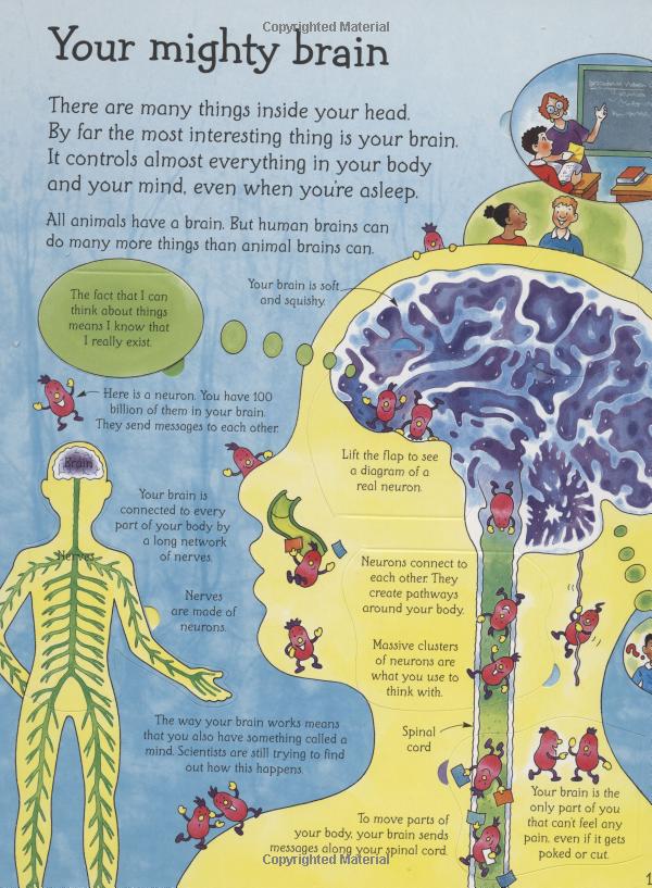 see inside your head - Ảnh 4