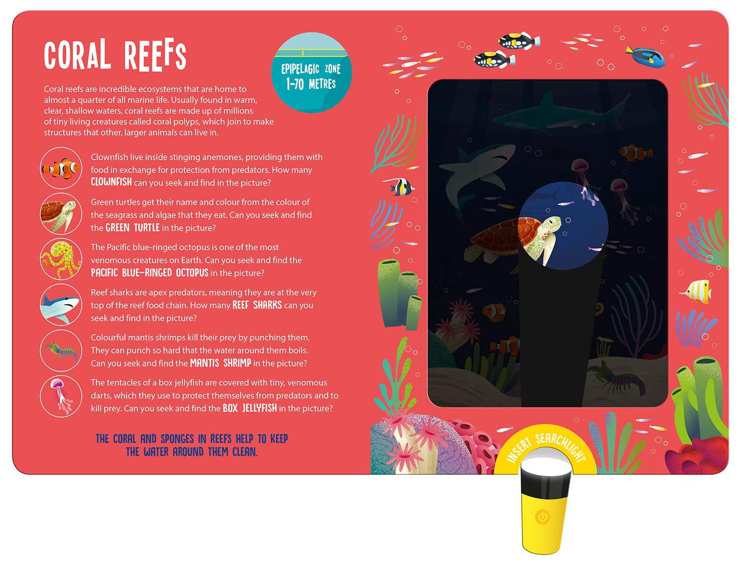 seek and find searchlight - ocean animals - Ảnh 4