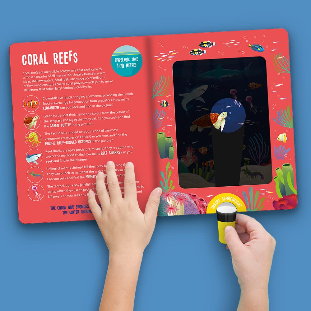 seek and find searchlight - ocean animals - Ảnh 5