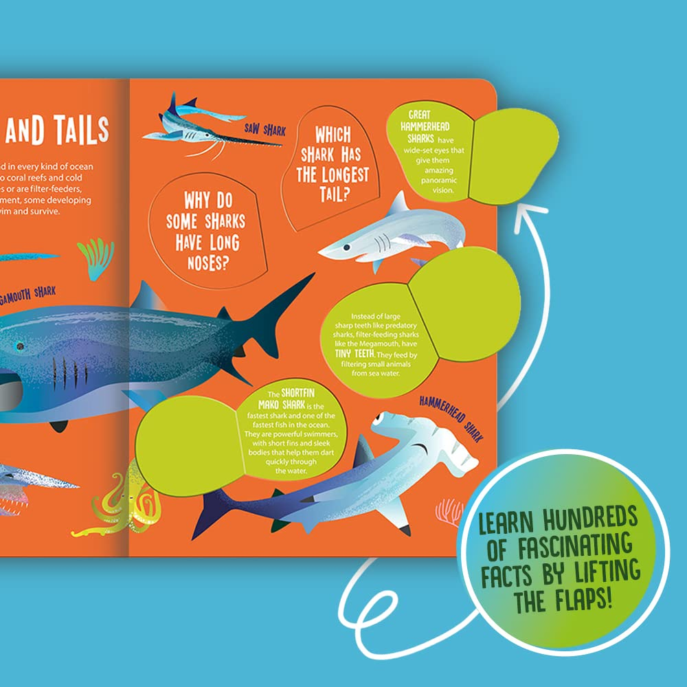 seek and find sharks (seek & find - searchlight books) - Ảnh 5