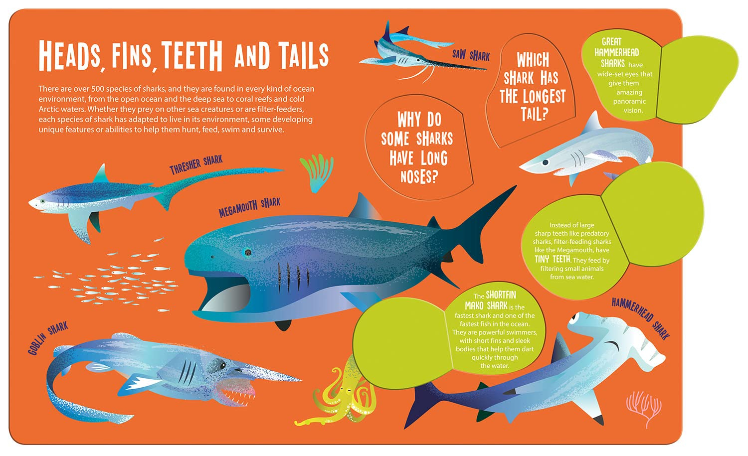 seek and find sharks (seek & find - searchlight books) - Ảnh 8