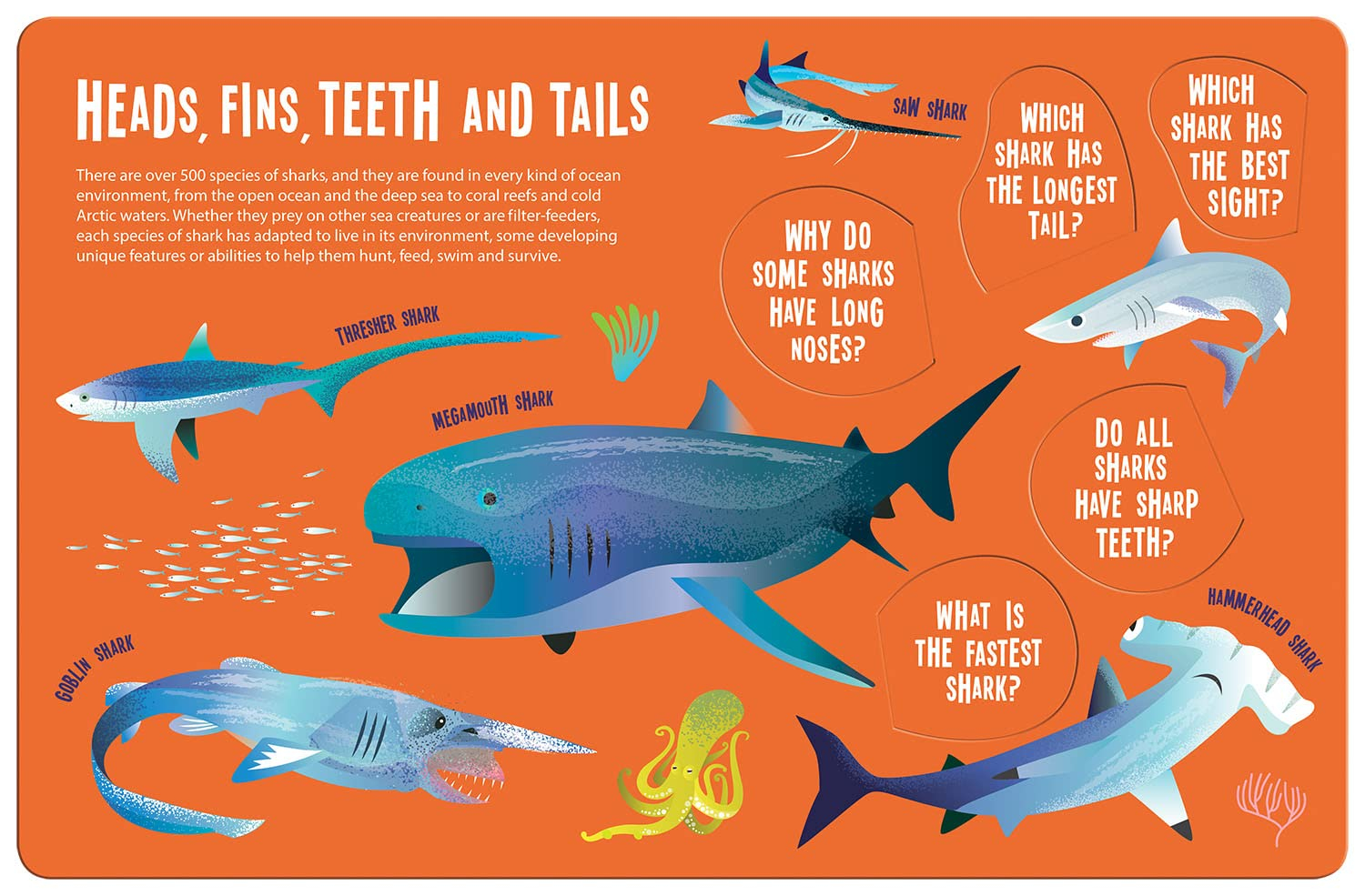 seek and find sharks (seek & find - searchlight books) - Ảnh 9