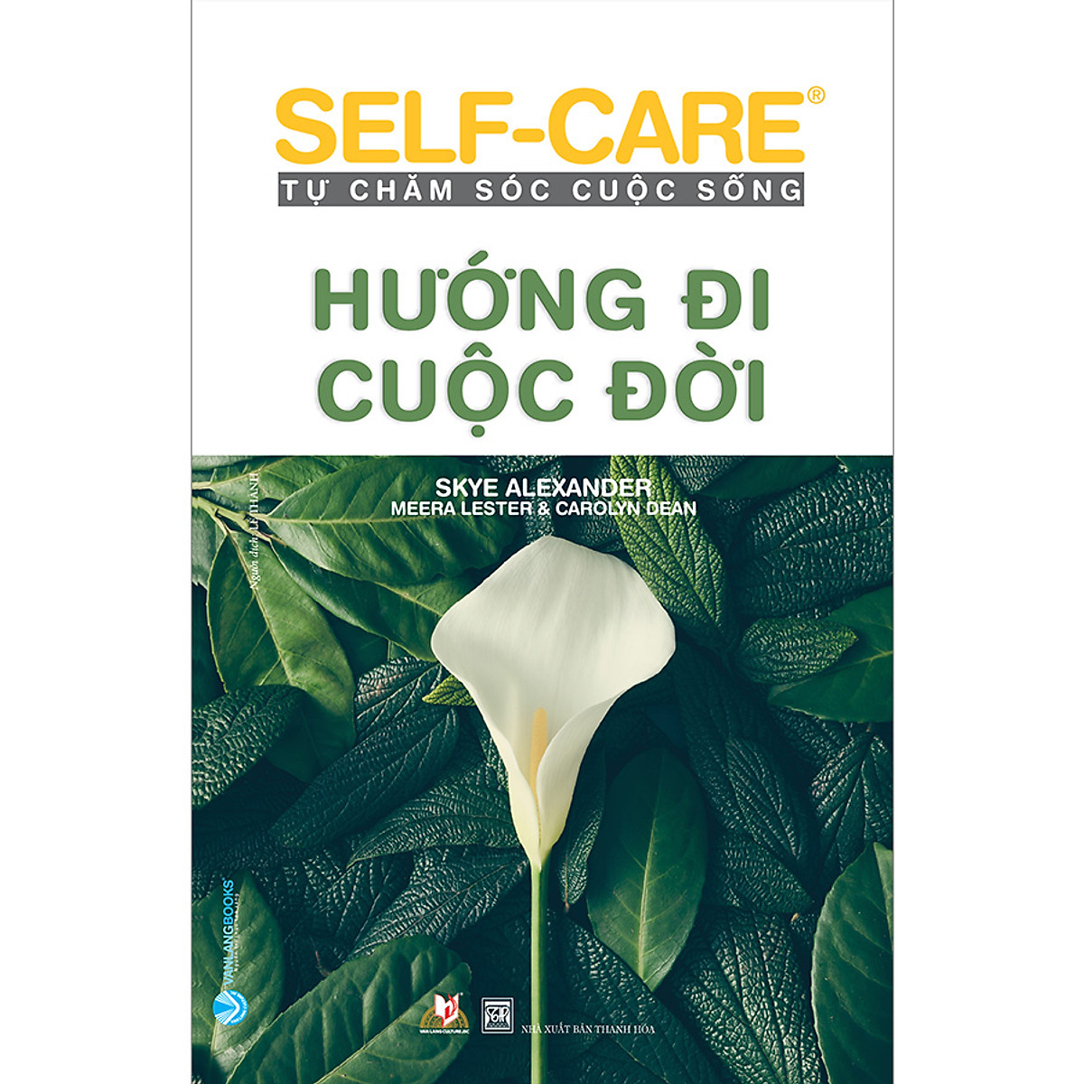 self-care tự chăm sóc cuộc sống - hướng đi cuộc đời - Ảnh 2