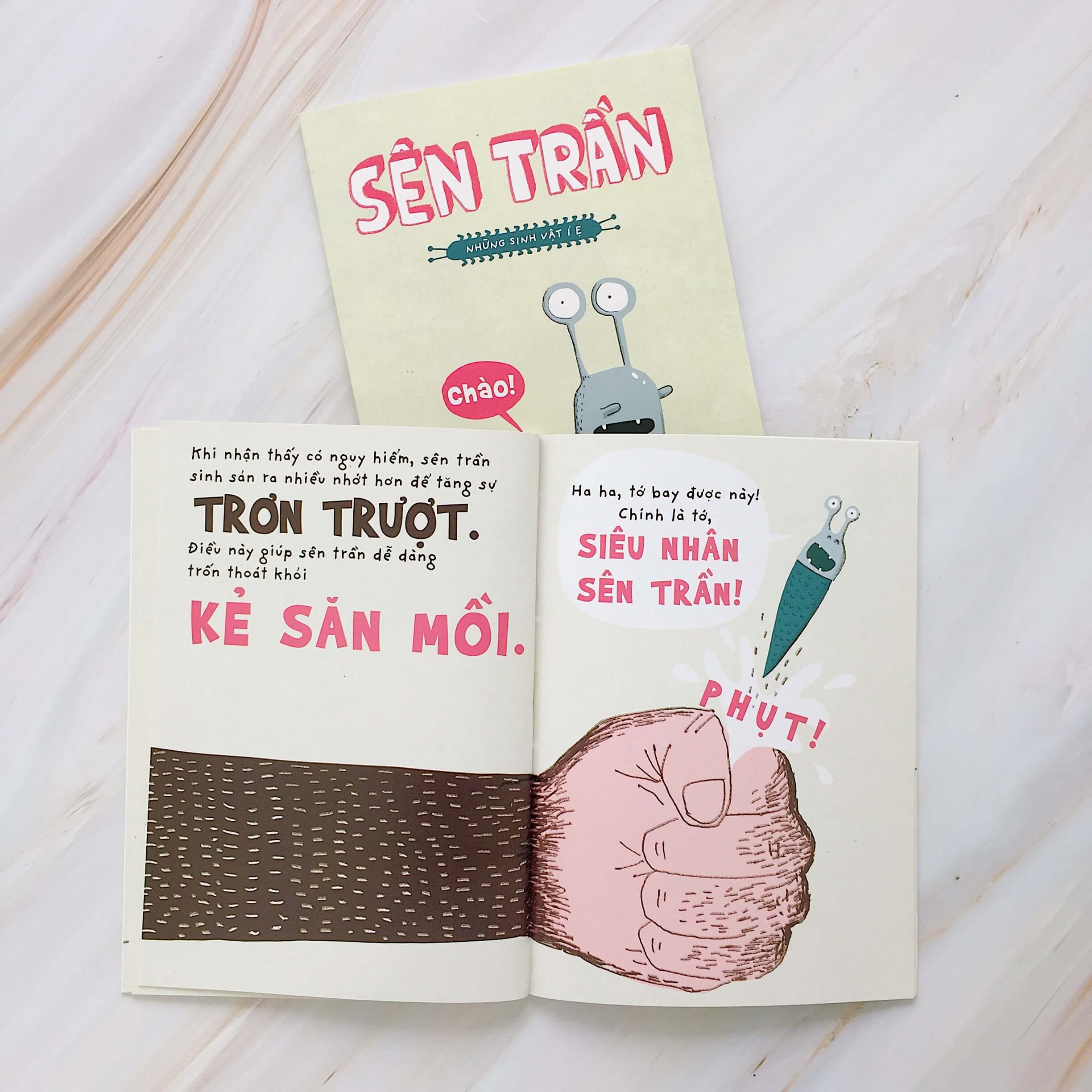 sên trần - những sinh vật í ẹ (từ 5 đến 9 tuổi) - Ảnh 4