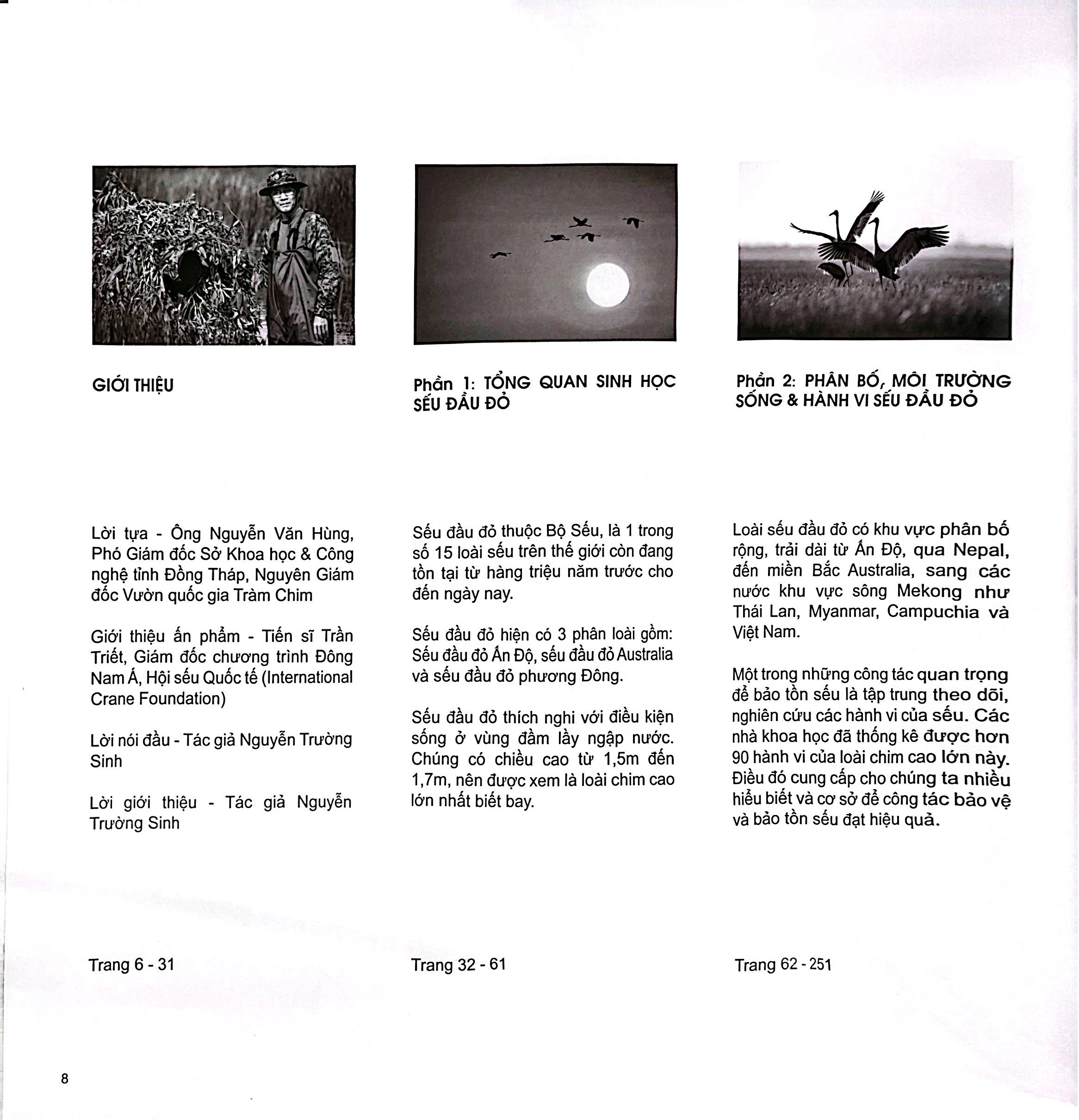 Sếu Đầu Đỏ - Bìa Cứng - Ảnh 6