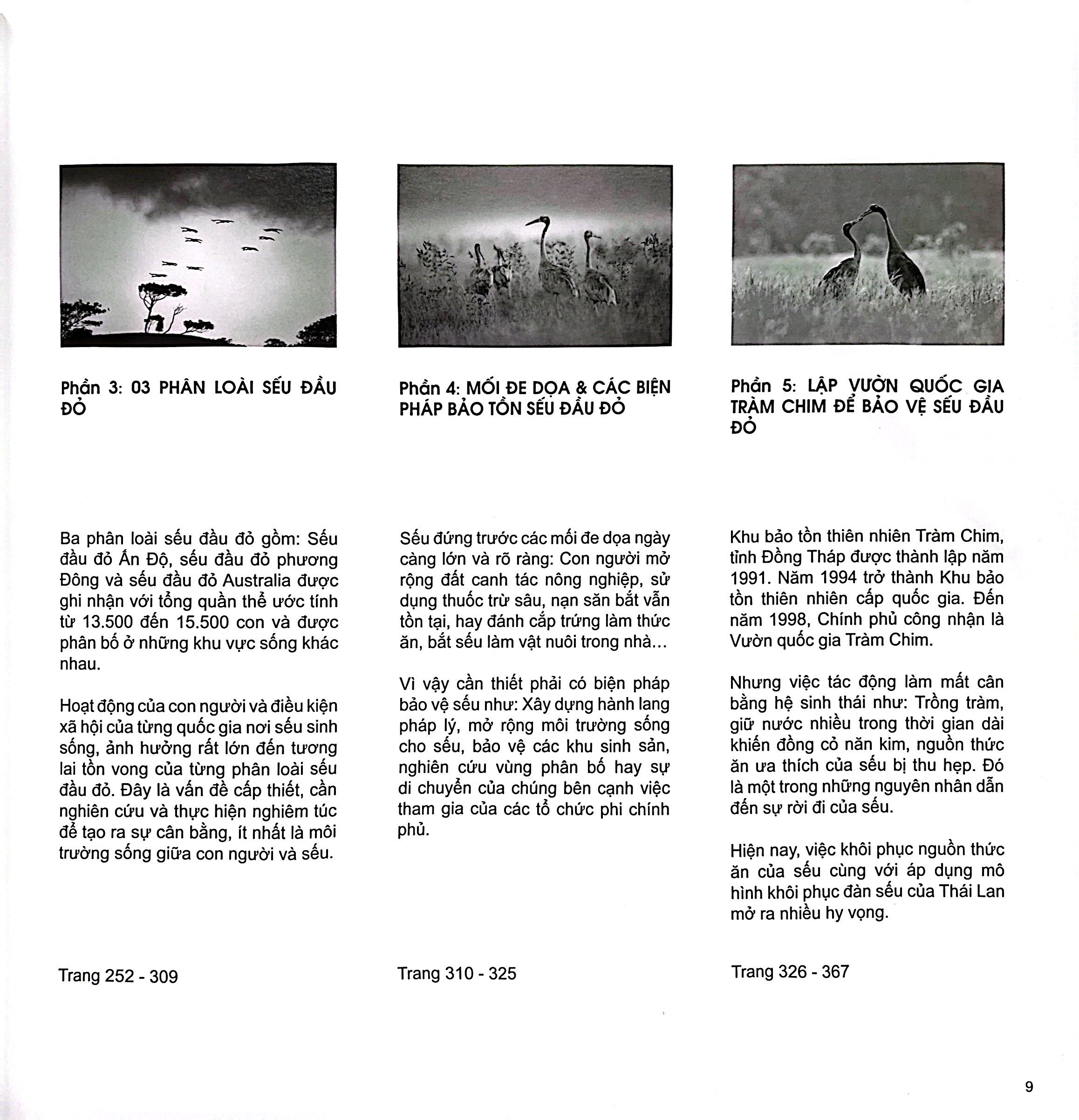 Sếu Đầu Đỏ - Bìa Cứng - Ảnh 7