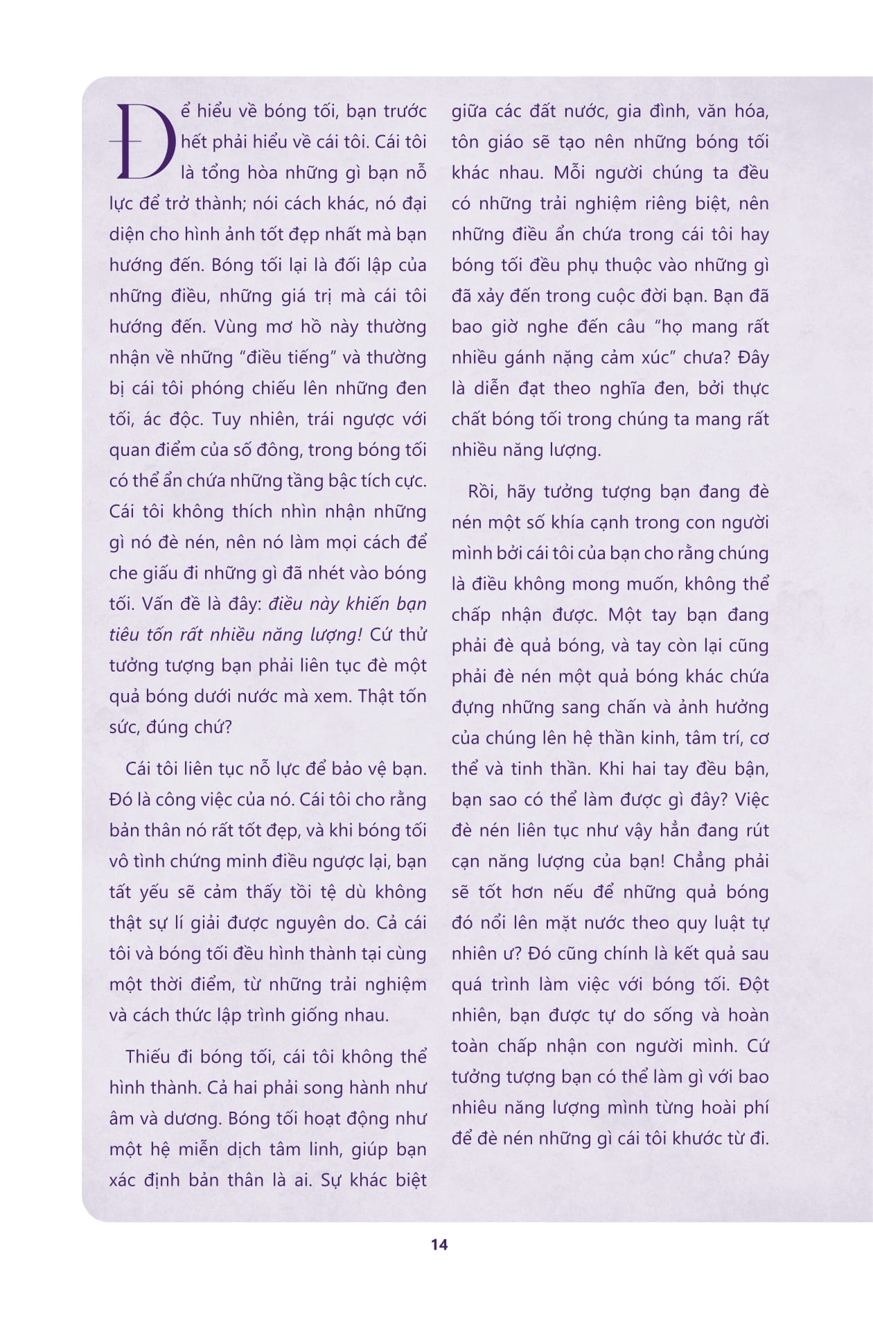 shadow work - sách hướng dẫn giải mã bản ngã ẩn giấu và cân bằng năng lượng - Ảnh 12
