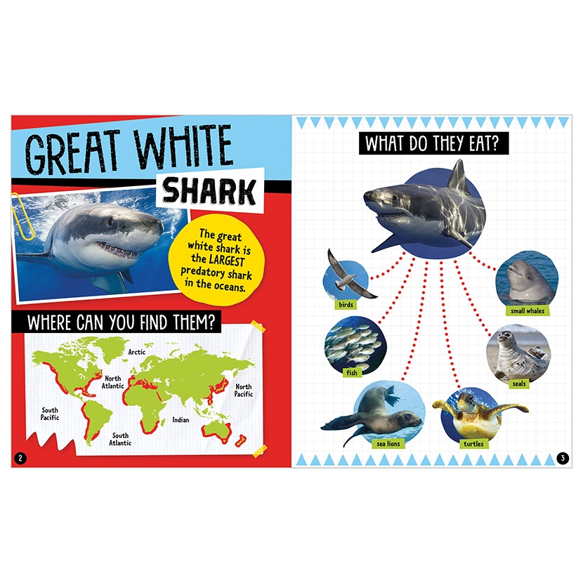 sharks and other creatures of the deep - Ảnh 3