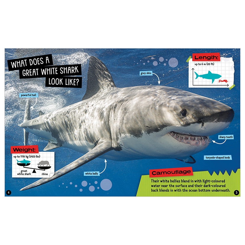 sharks and other creatures of the deep - Ảnh 4