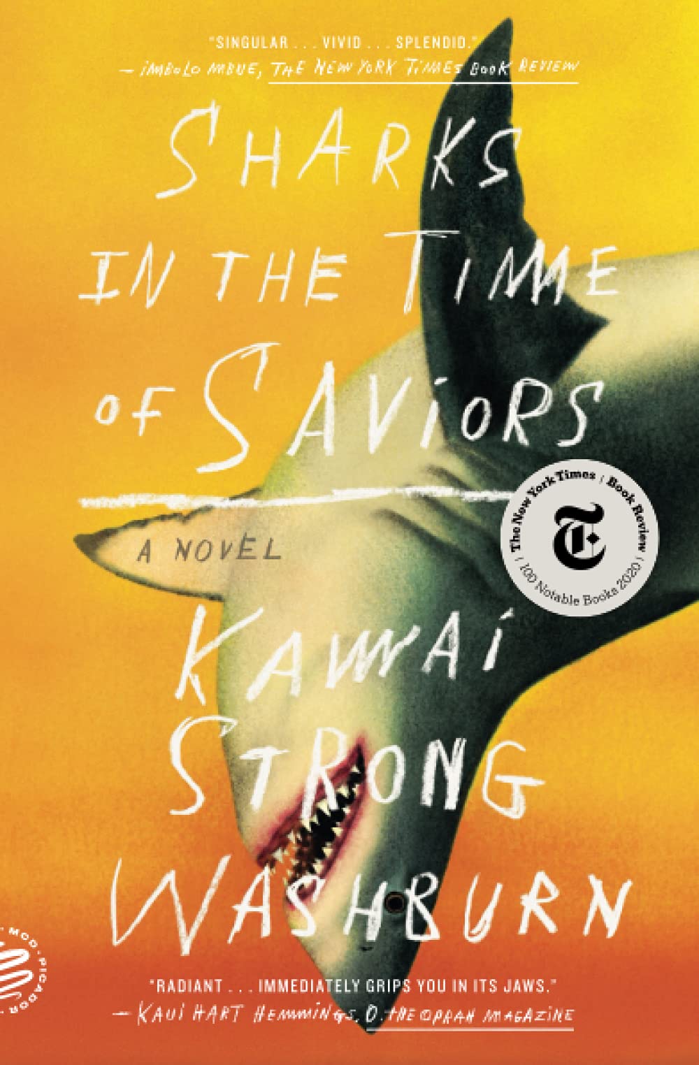 sharks in the time of saviors - Ảnh 2