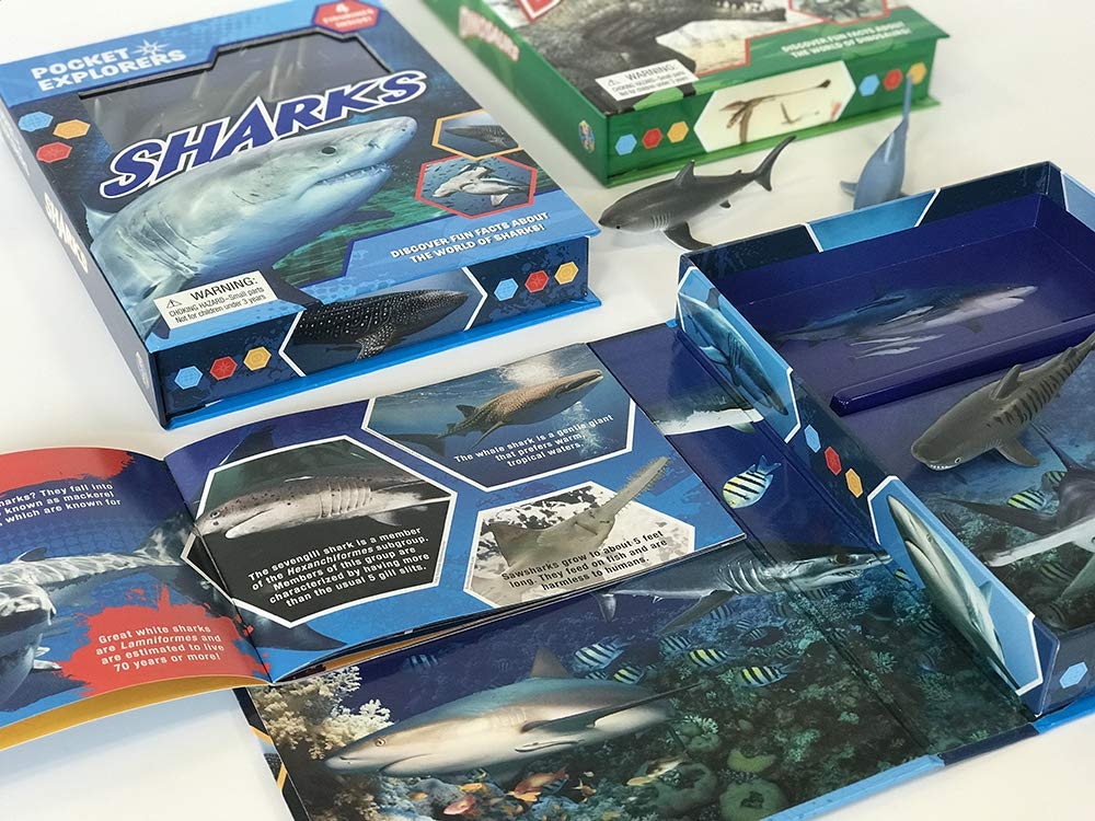 sharks pocket explorers - Ảnh 2