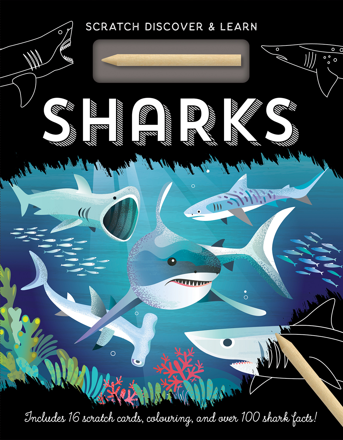 sharks (scratch discover & learn) - Ảnh 2