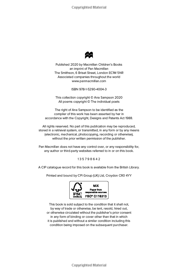 she will soar - Ảnh 4