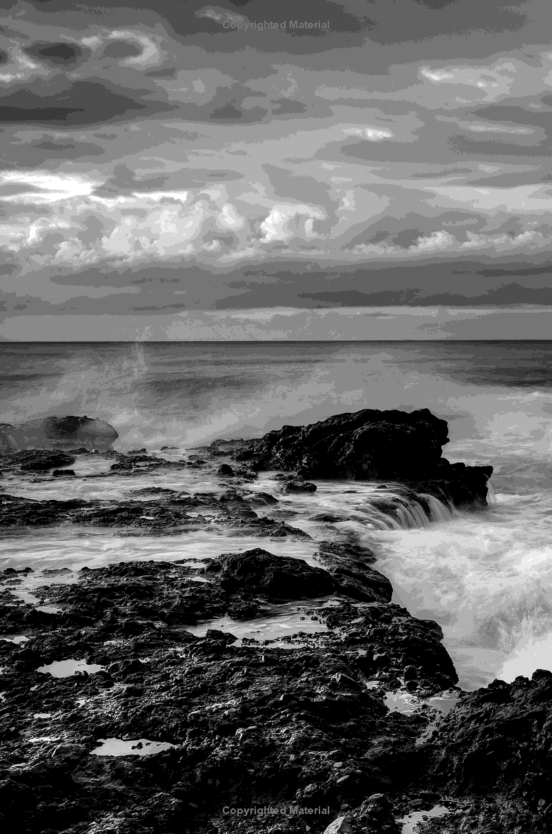 shelter in place - Ảnh 5