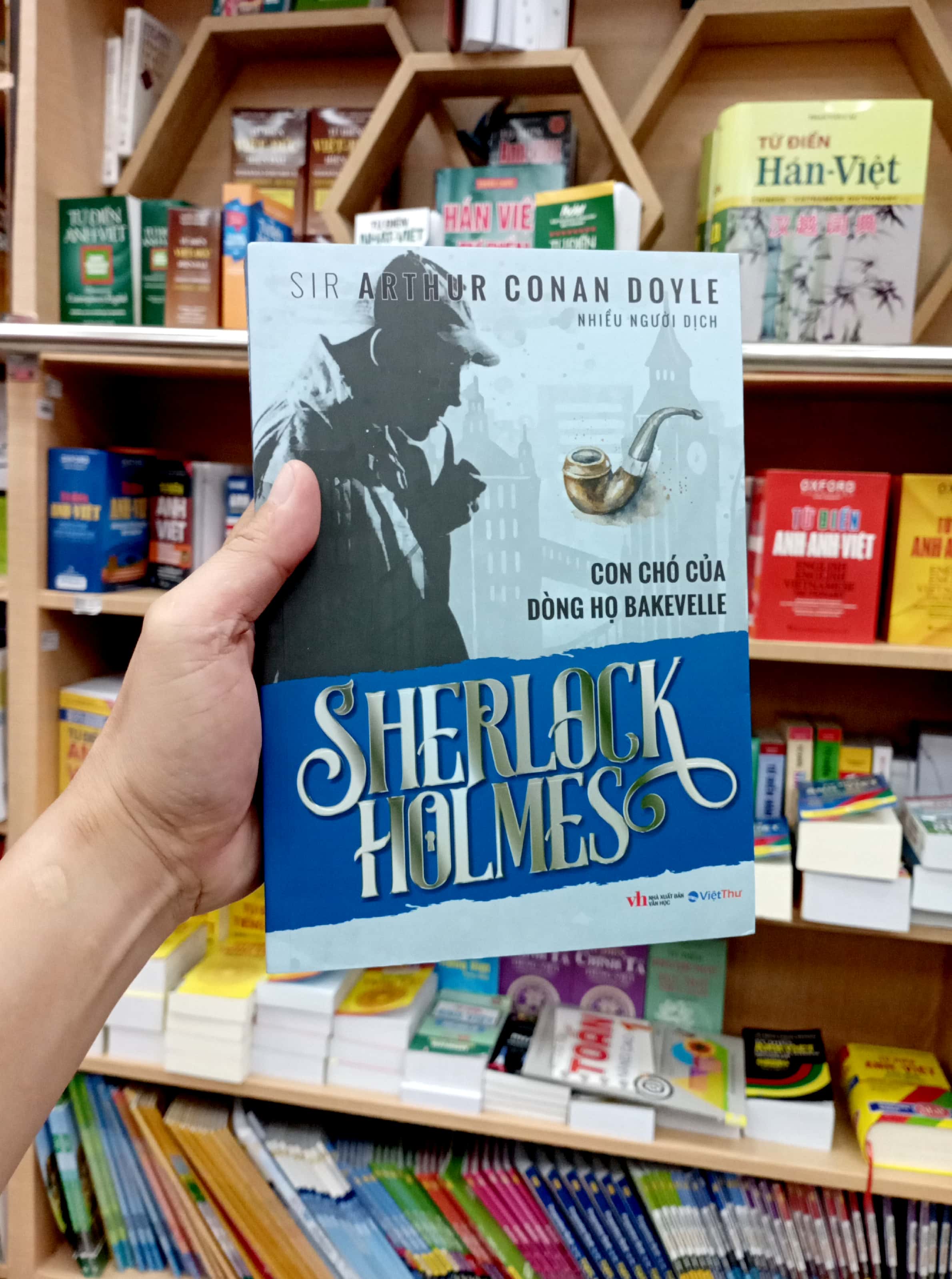 sherlock holmes - con chó của dòng họ bakevelle - Ảnh 7