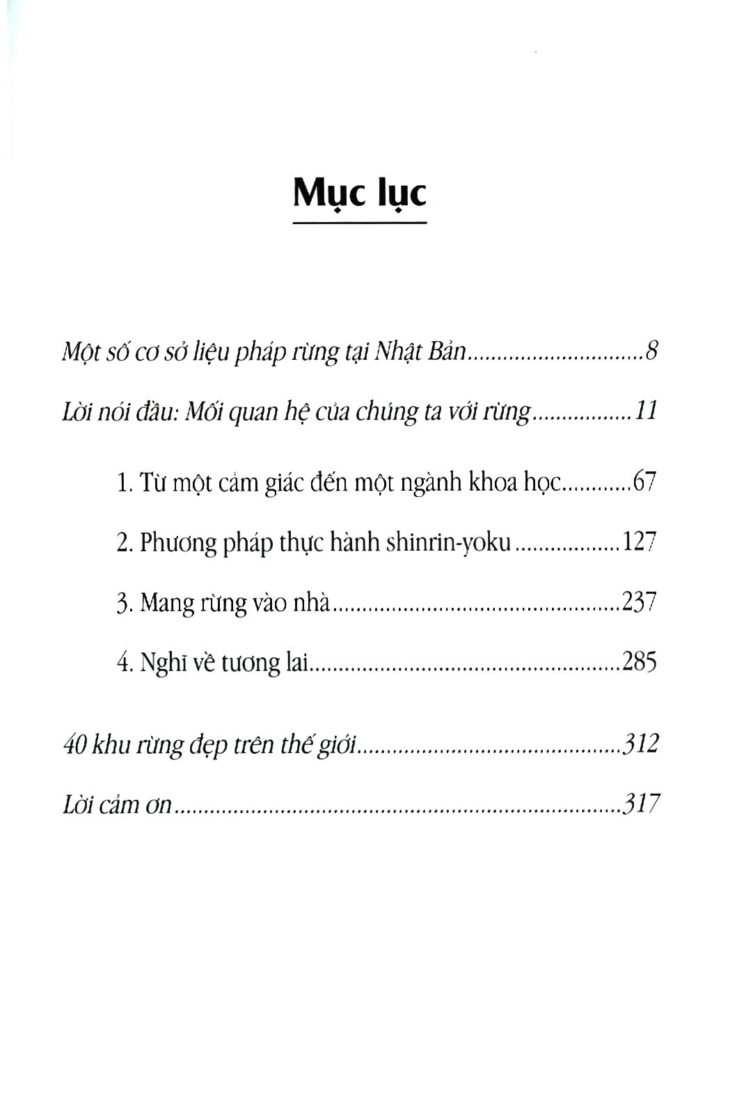 shinrin yoku - nghệ thuật tắm rừng của người nhật - Ảnh 3
