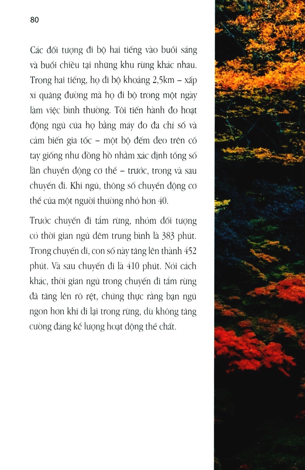 shinrin yoku - nghệ thuật tắm rừng của người nhật - Ảnh 4