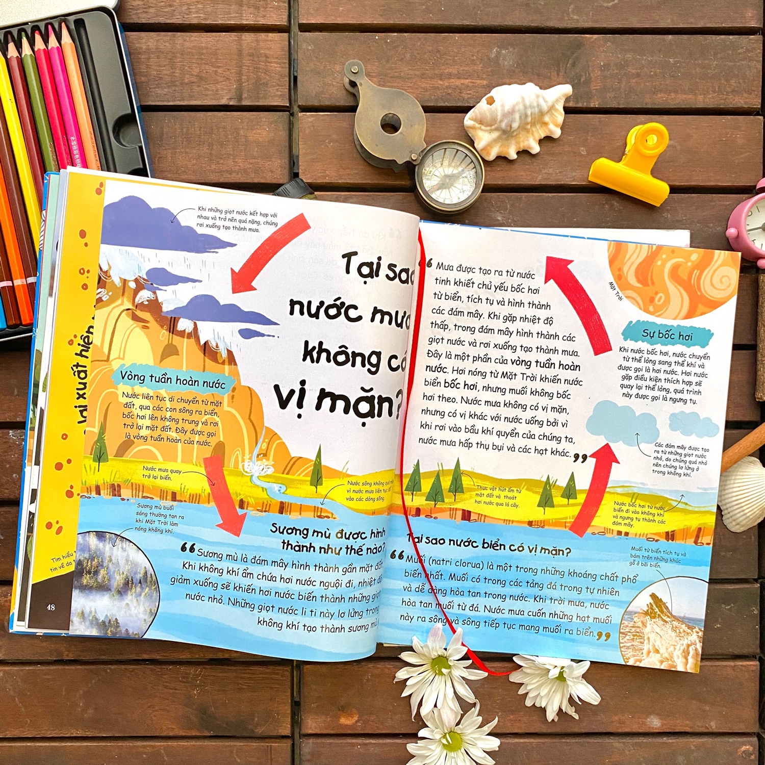 siêu nhí hỏi - nhà khoa học trả lời - bìa cứng (tái bản 2024) - Ảnh 5